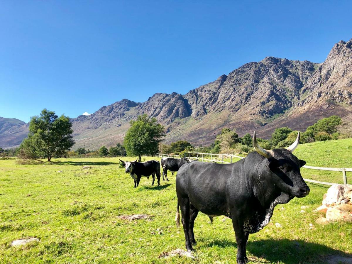Гостьовий будинок The Barn In Franschoek Франсгук Екстер'єр фото